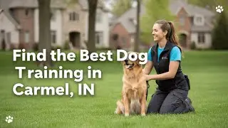 Find the Best Dog Training in Carmel Indiana