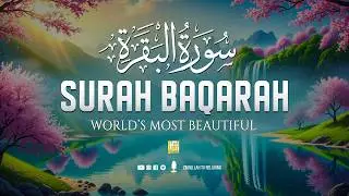 Surah Al-Baqarah Full (سورة البقرة) | Ultimate Relaxing Quran for Heart & Mind Calm #surahbaqarah
