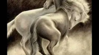 CABALLO VIEJO