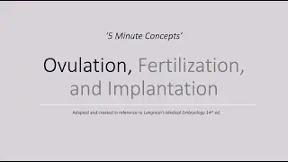 Basics of Ovulation - Part 1/3 of Ovulation, Fertilization, and Implantation
