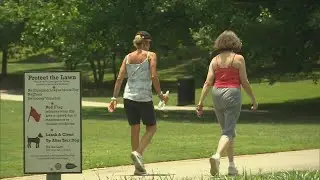Staying active may protect the brain from Alzheimer&rsquo;s, new research shows | WSB-TV