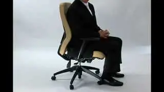 Ergonomic Office Chair - Seat Depth Adjustment