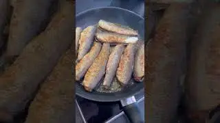 Hering Catch n Cook Hvide Sande #cooking #catchncook #hvidesande #hering