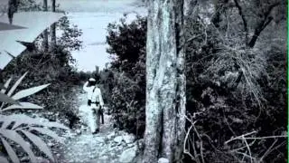 TIGER TALK