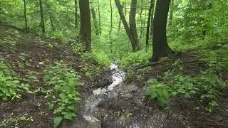 Spring stream water flowing thru forest peacefully screen saver Pennsylvania