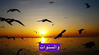 ماذا قال الغراب لسيدنا سليمان؟ اكتشف سر القرية التي محيت نهائياً من سجلات التاريخ البشري