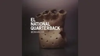 Elephant Shell