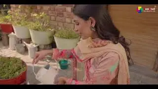 NAI JAANA KALASON ,KALASON -TULSI