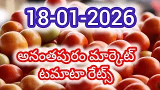 Anantapur tomato market rates/today tomato market rates #Anantapur #agriculture #tomato rate #tomato