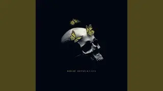 Noise Revolution