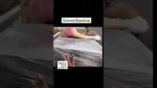 Rajwadi Chay Setup Manufacturer in Ahmedabad | Complete Chai Business Setup