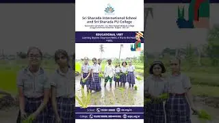 🌾🌱 A day in the heart of nature's classroom: our educational trip to the paddy fields.