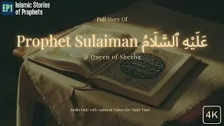 The Story of Prophet Sulaiman (AS) | Peaceful Islamic Story with Relaxing Ambient Sounds