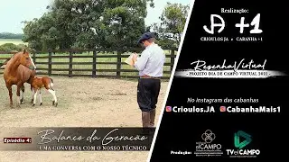 Episódio 4 - Balanço da Geração, uma conversa com o nosso técnico. #projetodiadecampovirtual