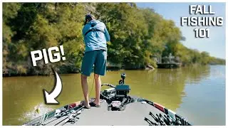 MUST KNOW Fall Transition Fishing Themes For SUCCESS!