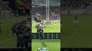 Damian Willemse try against the All Blacks. Fan view. #springboks #allblacks