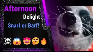Afternoon Delight: Snarf or Barf