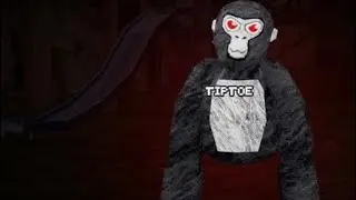 I found tiptoe #gorillatag #ghosthunting #vr 