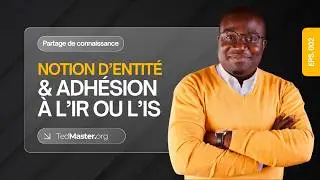 Notion d&rsquo;entit&eacute; et adh&eacute;sion &agrave; l&rsquo;IR ou &agrave; l&rsquo;IS