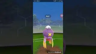 No stat buff, 3 sacs swaps, one Driftblim vs Cliff - Pokemon Go