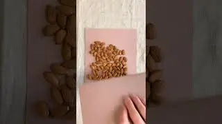 Crush Almond &ndash; Naturpapier mit nachhaltigem Charakter 🌰⁠