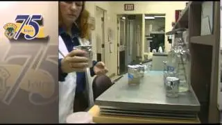 Under the Microscope: Eagle Fish Lab