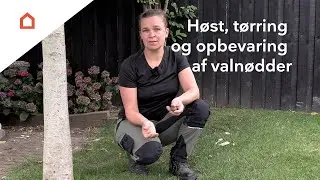 Hvorn&aring;r kan du h&oslash;ste valn&oslash;dder?