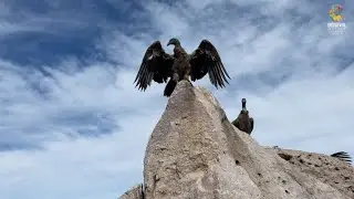 Pachamama s’est envolée dans le ciel argentin !