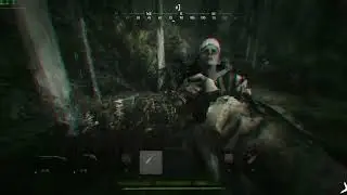 Back After A Long Time  Hunt Showdown #huntshowdown