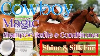 Make Your Horse's Fur A Moisturizer | Shampoo And Conditioner For Glossy Horse Fur | Cowboy Magic