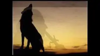 Rik Bakker .Whistle for the Wolves .North American Indigenous Flute Music