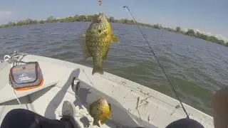 Late summer fishing at Presque Isle Lagoons/Misery Bay. Plus, SURPRISE catch!