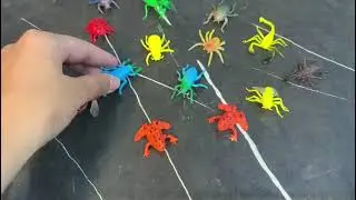 A Creepy-Crawly Collection A Set of Plastic Insects/Rs.800 #whatsapp03143679766 #usaimports