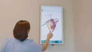 Cardiovascular Institute of the South Heart Disease