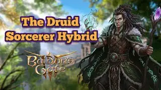 Wyldling Sorcerer Mod Subclass Build | Baldur's Gate 3