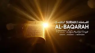 Surah Baqarah | Hifazat, Barkat Aur Sukoon | Powerful Quran Tilawat