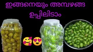 Ambazhanga uppilittath | അമ്പഴങ്ങ ഉപ്പിലിട്ടത് |salted Hog Plum| Kerala style | Without Adding Water