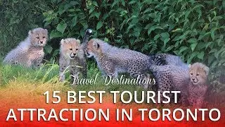 15 TOP RATED - Best Tourist Attractions in Toronto Canada