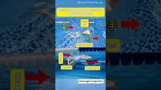 Dual angle comparison：Breaststroke full coordination of arms and legs