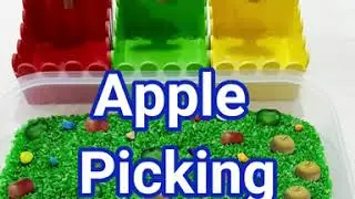 Sensory Bin Apple Picking Activity for Children/Autumn idea/Math Game for Kids