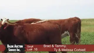 Brad & Tammy, Ty & Melissa Corbiell Lot 16