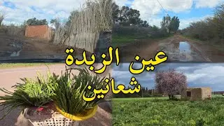 اجواء الفلاحة دوار عين الزبدة بعد امطار 