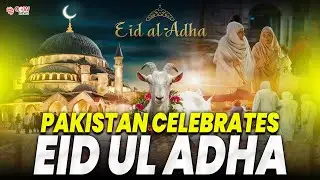 Eid-ul-Adha 2025 in Pakistan: Festivities & Traditions 🐐🌙