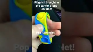 Fidgets I brought in the car for a long car ride!