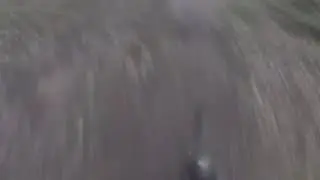Pedalabikeaway Forest of Dean shred with the boys