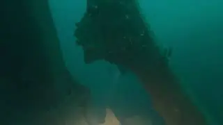 Coolooli wreck dive 24-1-2026