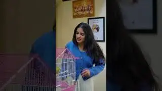 Ghar me aya ek mitthu | Sapna Chaudhary