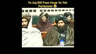 Taliban Parlament 😂😂😂 #taliban #afganistan #parlement