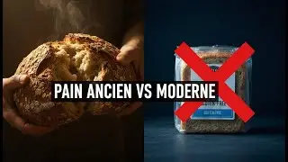 Pourquoi le pain ancien &agrave; l&rsquo;avoine est plus doux pour l&rsquo;intestin que le sans gluten moderne
