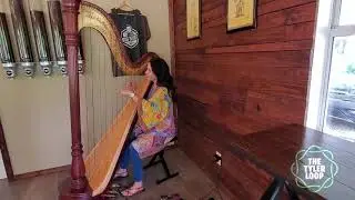 Tiny Loop Concerts | Charla Murray